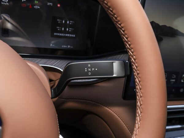 Denza N9 2026 Flagship Edition