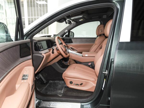Denza N9 2026 Flagship Edition