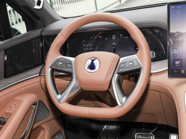 Denza N9 2026 Flagship Edition