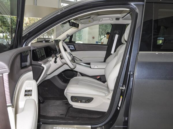 Used Denza N9, 2025 Model, Flagship Version