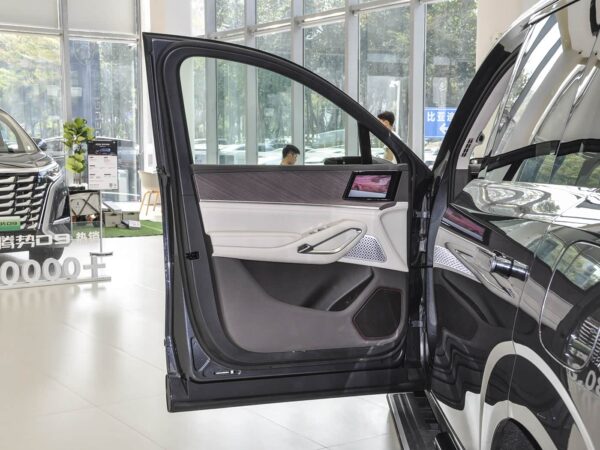 Used Denza N9, 2025 Model, Flagship Version