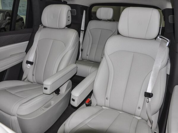 Used Denza N9, 2025 Model, Flagship Version