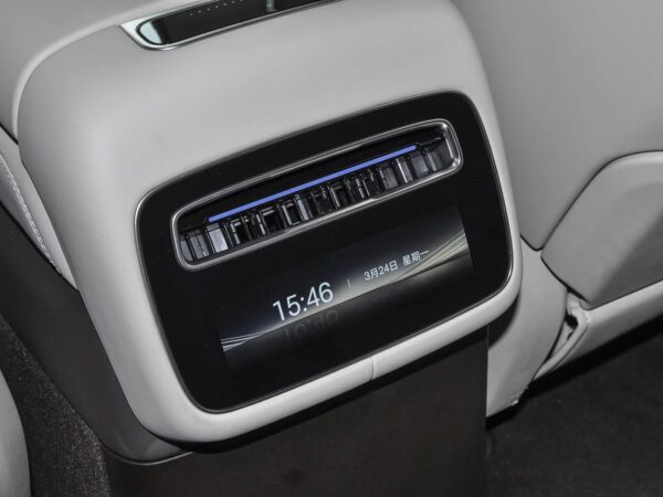 Used Denza N9, 2025 Model, Flagship Version