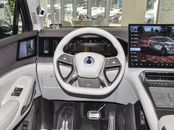 Used Denza N9, 2025 Model, Flagship Version