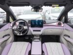 Used BYD Dolphin 2025, 520 km Knight Edition